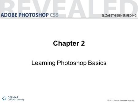 © 2011 Delmar, Cengage Learning Chapter 2 Learning Photoshop Basics.