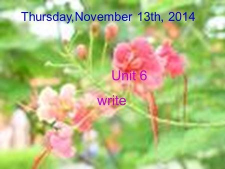 Thursday,November 13th, 2014 Unit 6 write. The Young pioneers and the Youth organization (Y&Y) The Y&Y Green Group.