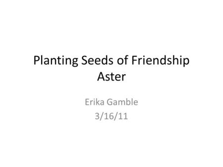 Planting Seeds of Friendship Aster Erika Gamble 3/16/11.