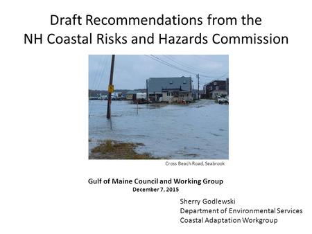 Draft Recommendations from the NH Coastal Risks and Hazards Commission Sherry Godlewski Department of Environmental Services Coastal Adaptation Workgroup.