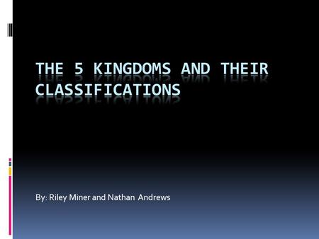 By: Riley Miner and Nathan Andrews The 5 fun kingdoms!  Plants -many cells -it makes it own food by the sunlight Animals -many cells -it feeds off of.