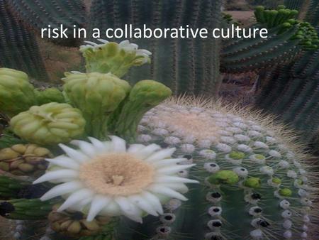 Risk in a collaborative culture.  Why risk matters  Profiling risk  Mitigating risk  Communicating and owning mitigation.