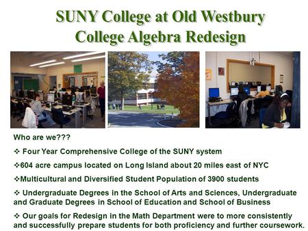 Who are we???  Four Year Comprehensive College of the SUNY system  604 acre campus located on Long Island about 20 miles east of NYC  Multicultural.