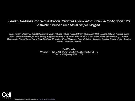 Ferritin-Mediated Iron Sequestration Stabilizes Hypoxia-Inducible Factor-1α upon LPS Activation in the Presence of Ample Oxygen Isabel Siegert, Johannes.