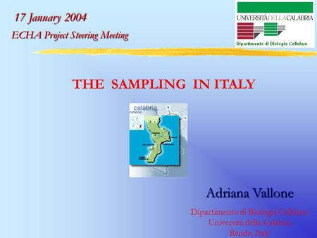 THE SAMPLING IN ITALY Adriana Vallone Dipartimento di Biologia Cellulare Università della Calabria Rende, Italy 17 January 2004 ECHA Project Steering.