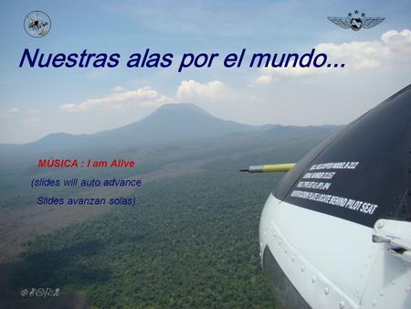 Nuestras alas por el mundo... MÚSICA : I am Alive (slides will auto advance Slides avanzan solas) TALON.