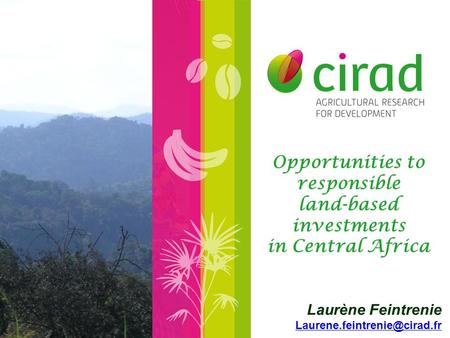 Opportunities to responsible land-based investments in Central Africa Laurène Feintrenie