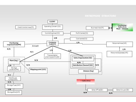 ENTREPRISE STRUCTURE CLIENT Combining : Sales Area Plant – Division