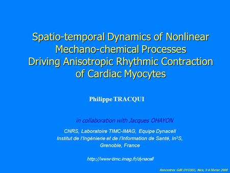 Rencontres GdR DYCOEC, Nice, 5-6 février 2008 Spatio-temporal Dynamics of Nonlinear Mechano-chemical Processes Driving Anisotropic Rhythmic Contraction.