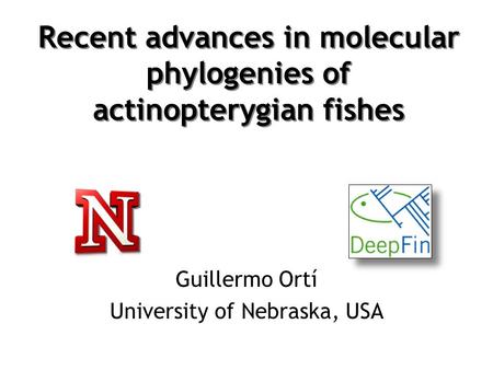 Recent advances in molecular phylogenies of actinopterygian fishes Guillermo Ortí University of Nebraska, USA.