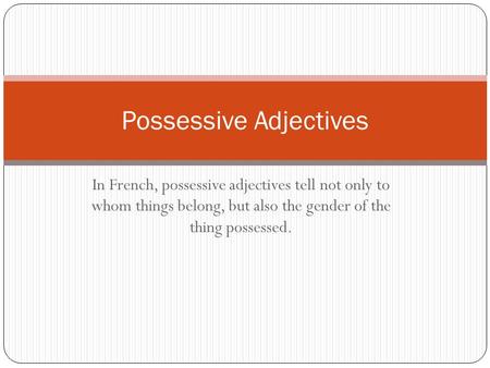 Possessive Adjectives