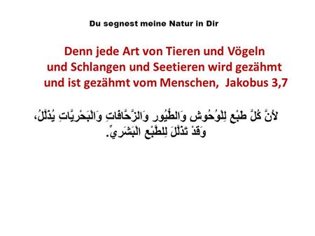 Denn jede Art von Tieren und Vögeln und Schlangen und Seetieren wird gezähmt und ist gezähmt vom Menschen, Jakobus 3,7 لأَنَّ كُلَّ طَبْعٍ لِلْوُحُوشِ