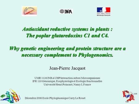 Antioxidant reductive systems in plants :