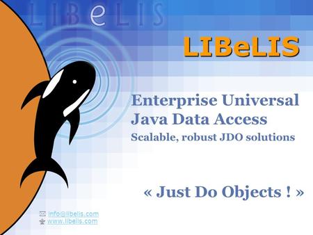 1 LIBeLIS Enterprise Universal Java Data Access Scalable, robust JDO solutions « Just Do Objects ! »