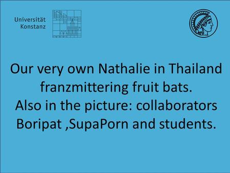 Our very own Nathalie in Thailand franzmittering fruit bats. Also in the picture: collaborators Boripat,SupaPorn and students.