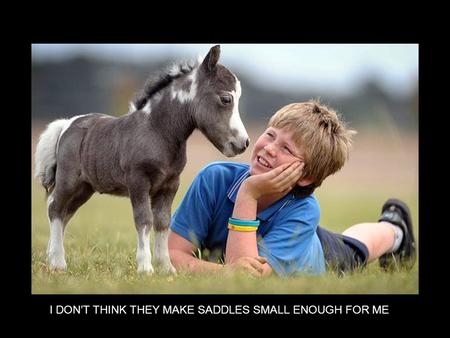 I DONT THINK THEY MAKE SADDLES SMALL ENOUGH FOR ME.