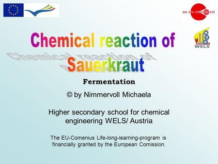 © by Nimmervoll Michaela Higher secondary school for chemical engineering WELS/ Austria The EU-Comenius Life-long-learning-program is financially granted.