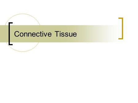 Connective Tissue.