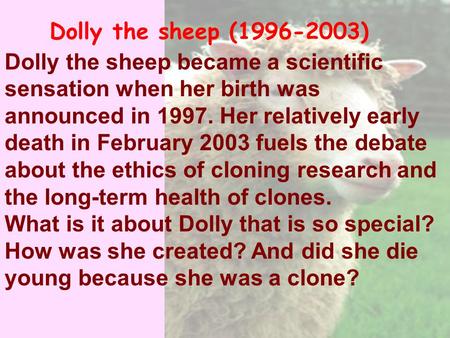 Dolly the sheep became a scientific sensation when her birth was announced in 1997. Her relatively early death in February 2003 fuels the debate about.