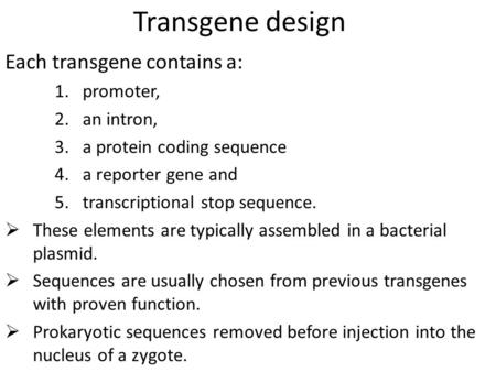 Transgene design Each transgene contains a: 1.promoter, 2.an intron, 3.a protein coding sequence 4.a reporter gene and 5.transcriptional stop sequence.