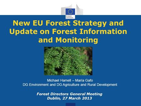 New EU Forest Strategy and Update on Forest Information and Monitoring