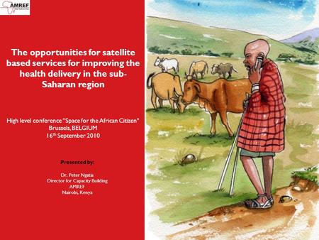 The opportunities for satellite based services for improving the health delivery in the sub- Saharan region High level conference ''Space for the African.