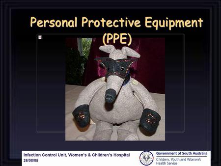 Personal Protective Equipment (PPE)