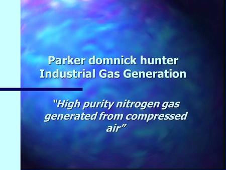 Parker domnick hunter Industrial Gas Generation