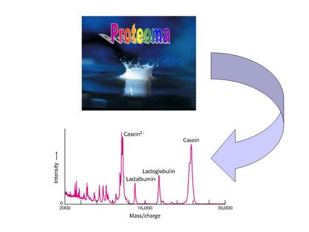 Proteoma.