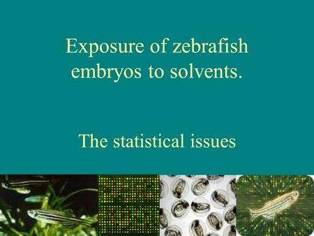 Exposure of zebrafish embryos to solvents. The statistical issues.