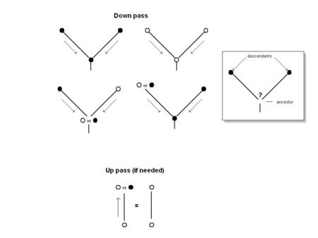 Example 1 Example 2 Does it work? Testing ancestral reconstructions in the laboratory.