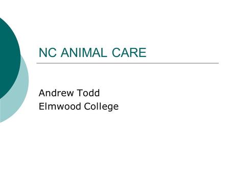 Andrew Todd Elmwood College