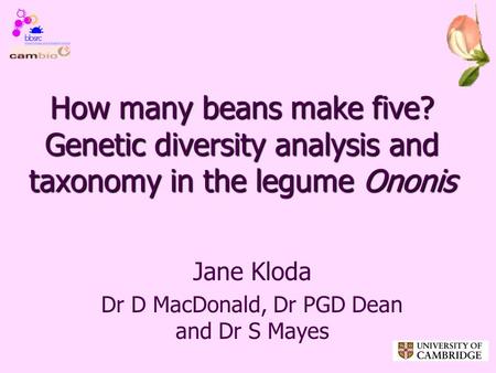 How many beans make five? Genetic diversity analysis and taxonomy in the legume Ononis Jane Kloda Dr D MacDonald, Dr PGD Dean and Dr S Mayes.