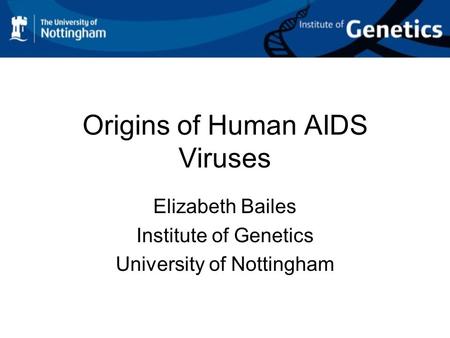 Origins of Human AIDS Viruses Elizabeth Bailes Institute of Genetics University of Nottingham.