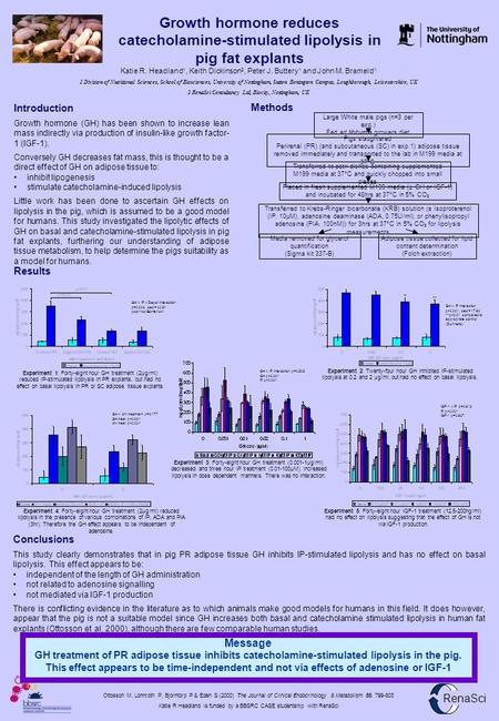 Growth hormone reduces catecholamine-stimulated lipolysis in pig fat explants Message GH treatment of PR adipose tissue inhibits catecholamine-stimulated.