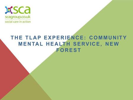 THE TLAP EXPERIENCE: COMMUNITY MENTAL HEALTH SERVICE, NEW FOREST.