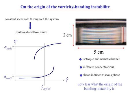 On the origin of the vorticity-banding instability 5 cm 2 cm constant shear rate throughout the system multi-valued flow curve isotropic and nematic branch.