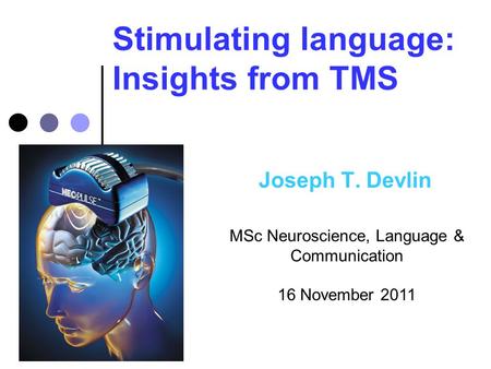 Stimulating language: Insights from TMS