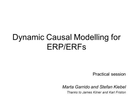 Dynamic Causal Modelling for ERP/ERFs