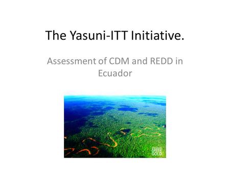 The Yasuni-ITT Initiative. Assessment of CDM and REDD in Ecuador.