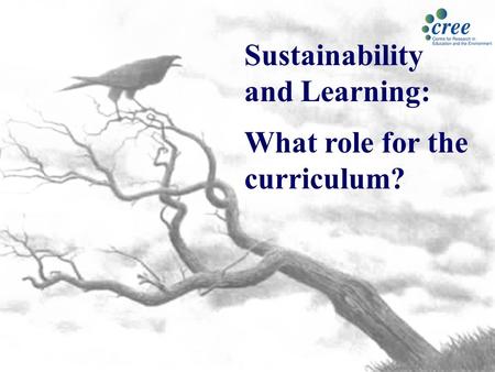 Sustainability and Learning: What role for the curriculum?