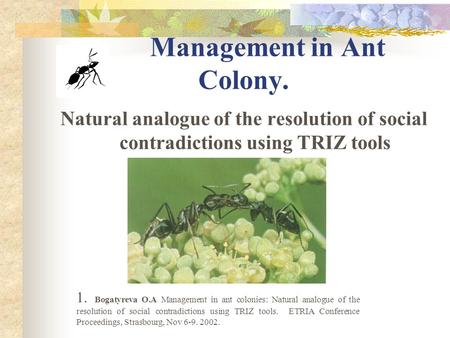 Management in Ant Colony. Natural analogue of the resolution of social contradictions using TRIZ tools 1. Bogatyreva O.A Management in ant colonies: Natural.