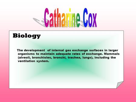 Biology The development of internal gas exchange surfaces in larger organisms to maintain adequate rates of exchange. Mammals (alveoli, bronchioles, bronchi,