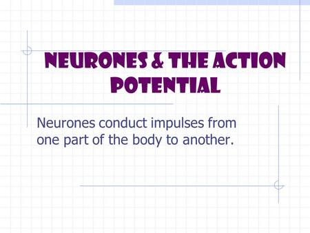 Neurones & the Action Potential