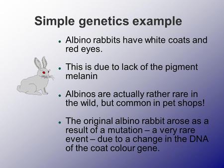 Simple genetics example