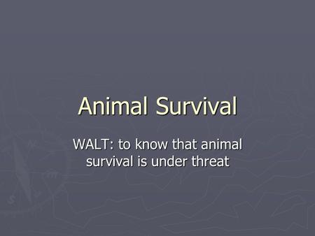 WALT: to know that animal survival is under threat