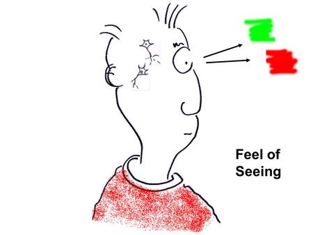 Feel of Seeing. Feel of Hearing What is the quality of sensory experience? J Kevin ORegan Laboratoire Psychologie de la Perception Centre National de.