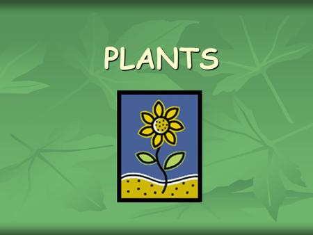 PLANTS.