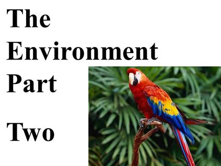 The Environment Part Two. If all the trees are gone. No life will exist. Our place in the world might be in jeopardy. Oxygen will be lost.