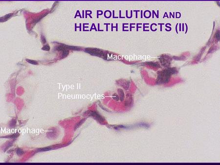 AIR POLLUTION AND HEALTH EFFECTS (II)